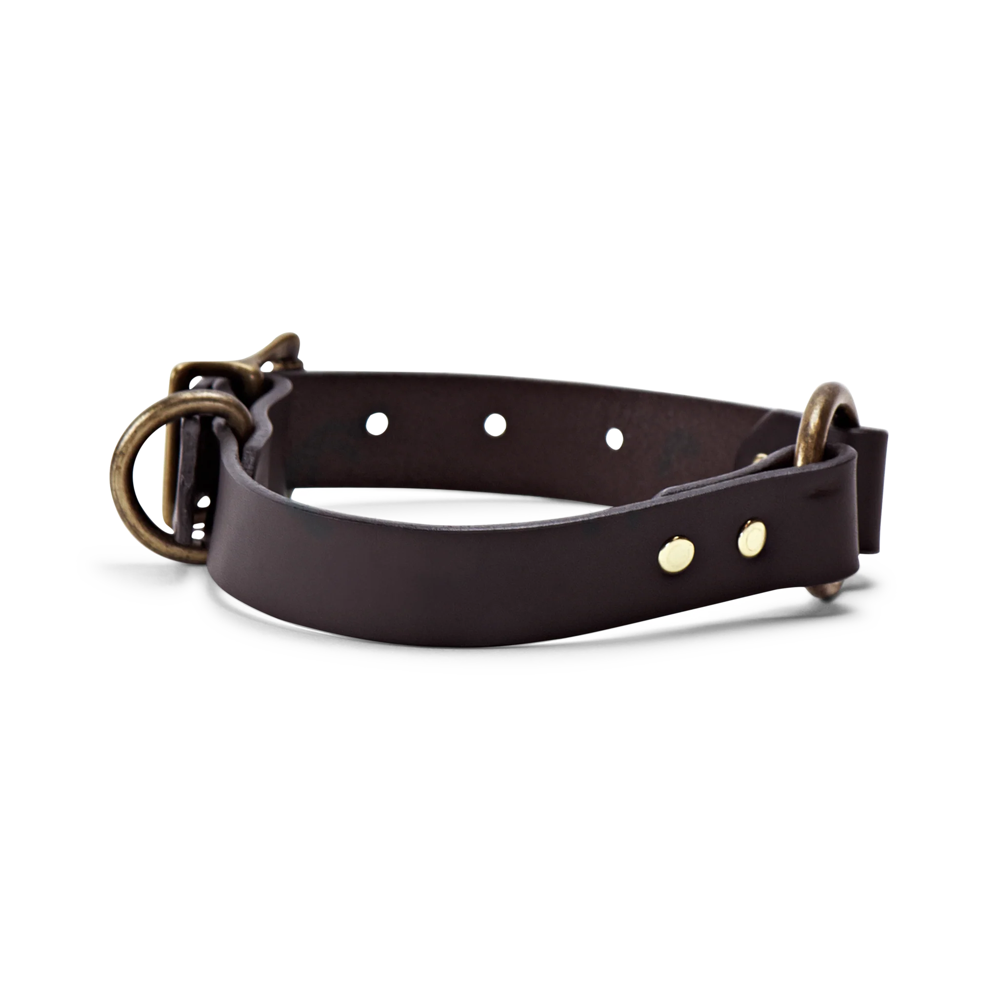 Collare per Cane in Pelle Bridle